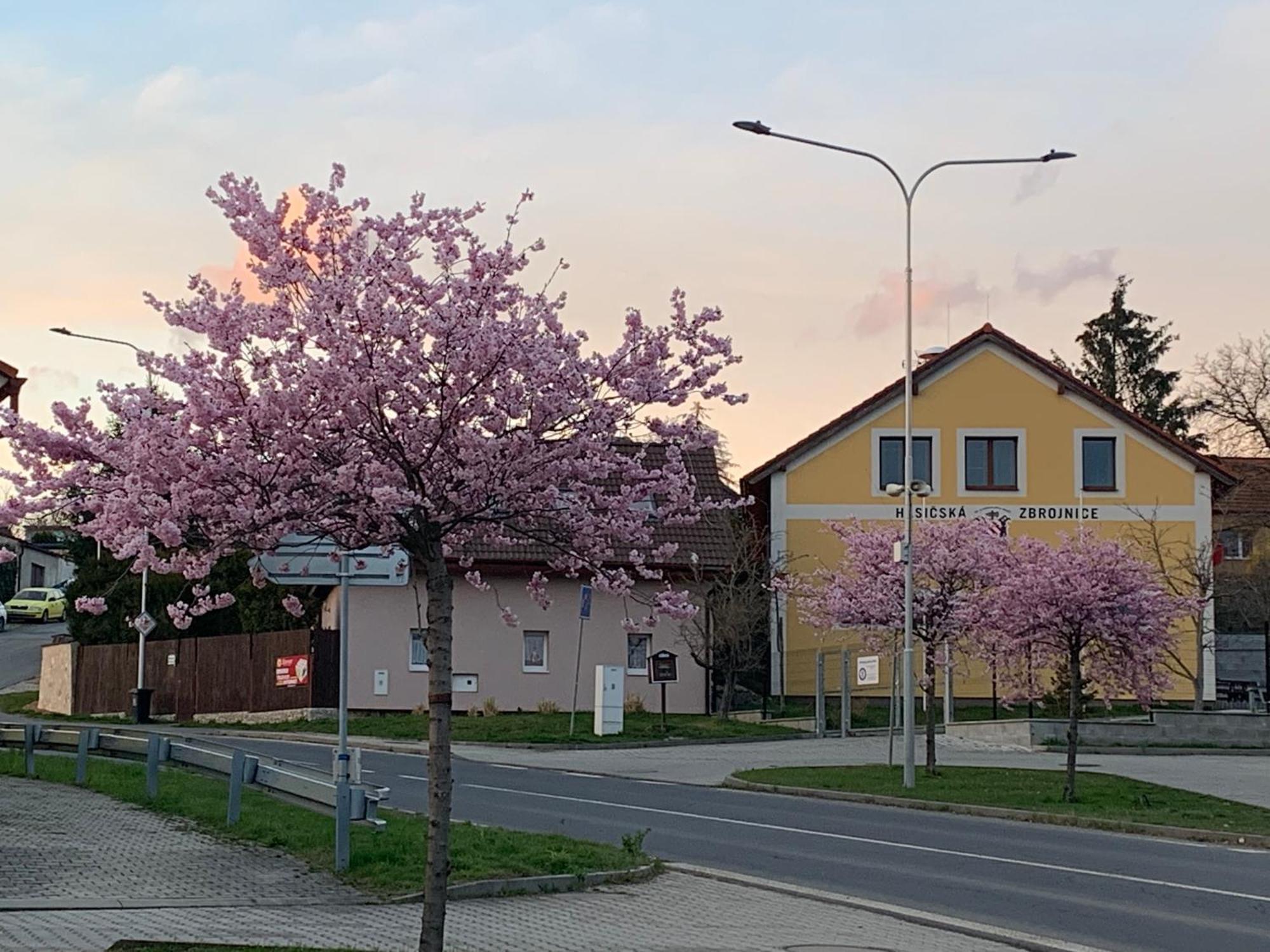 Apartmany Na Vrsku Plzen Exterior photo